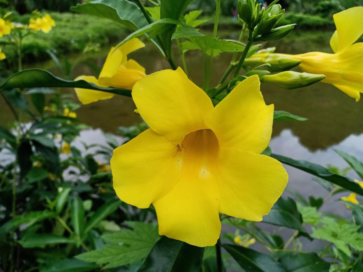Rammang Rammang Homestay Kasijala Luaran gambar