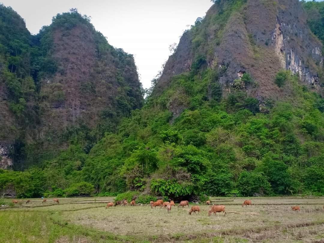 Rammang Rammang Homestay Kasijala Luaran gambar