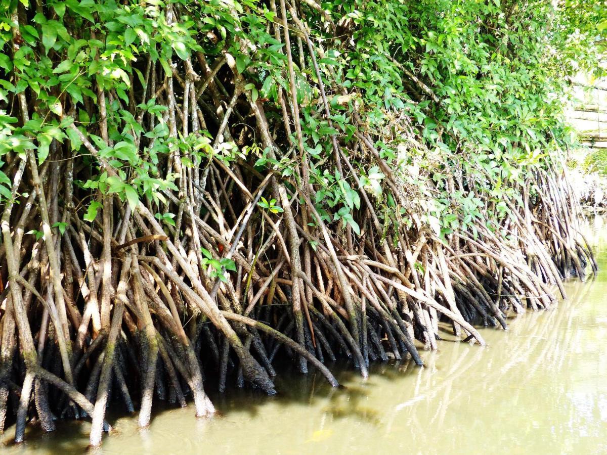 Rammang Rammang Homestay Kasijala Luaran gambar