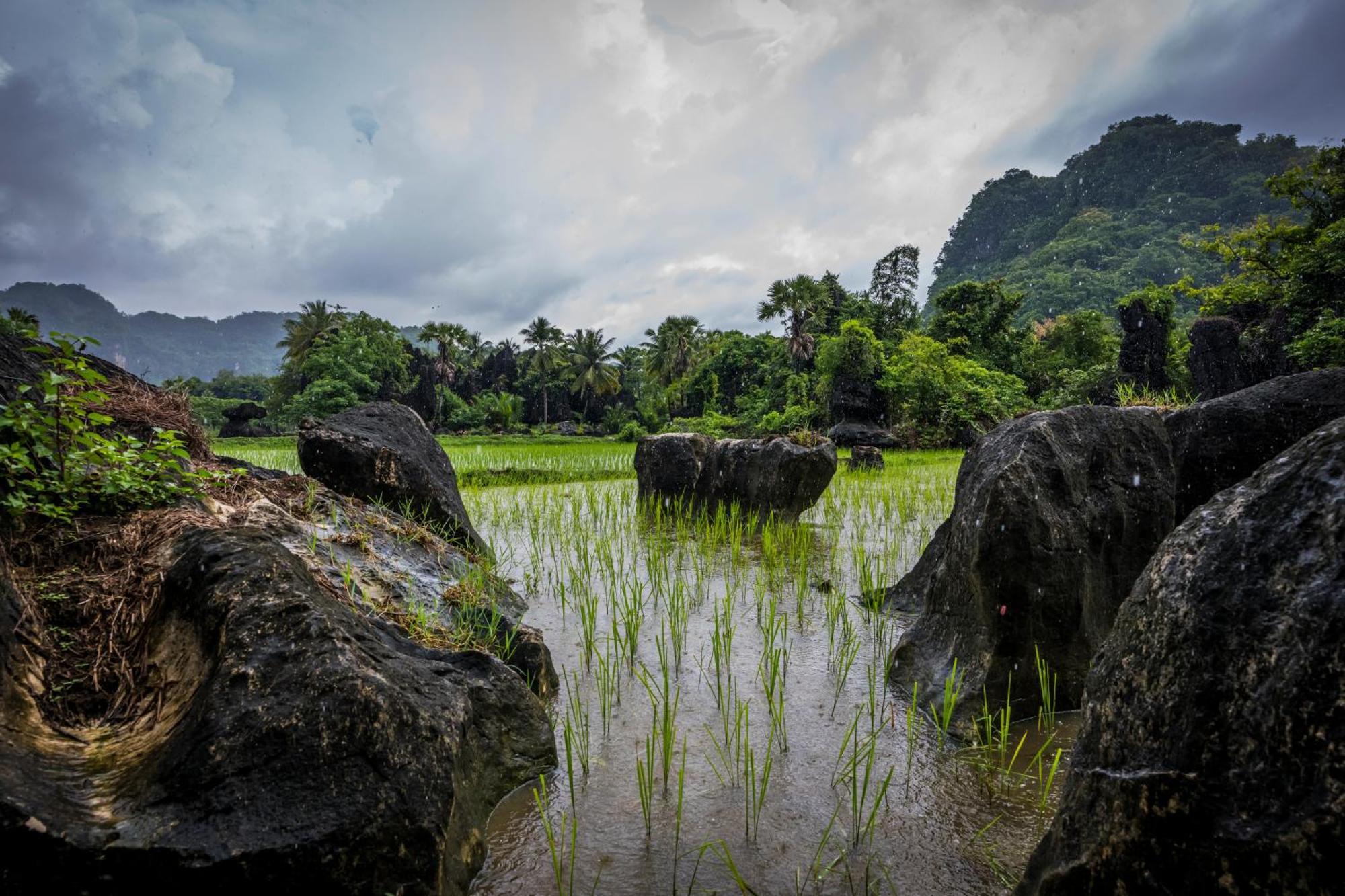 Rammang Rammang Homestay Kasijala Luaran gambar