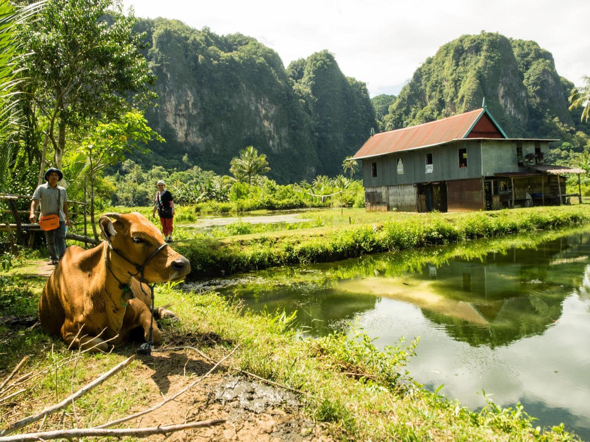Rammang Rammang Homestay Kasijala Luaran gambar